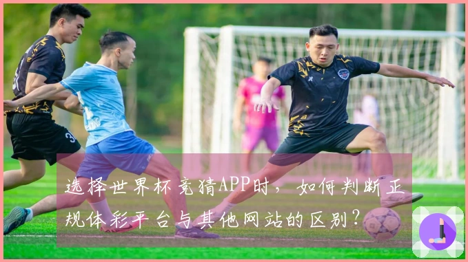 选择世界杯竞猜APP时，如何判断正规体彩平台与其他网站的区别？