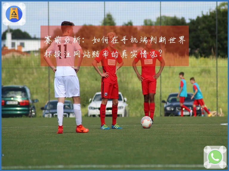 赛前分析：如何在手机端判断世界杯投注网站赔率的真实情况？