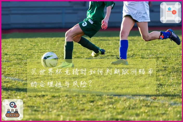 买世界杯竞猜时如何判断欧洲赔率的合理性与风险？