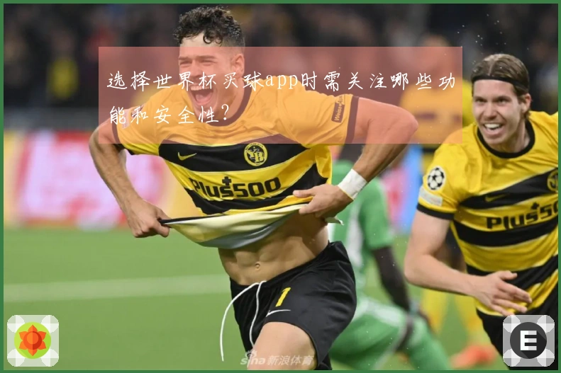 选择世界杯买球app时需关注哪些功能和安全性？