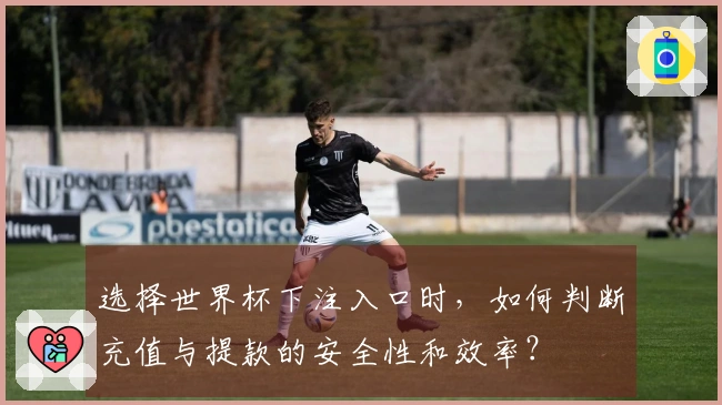 选择世界杯下注入口时，如何判断充值与提款的安全性和效率？