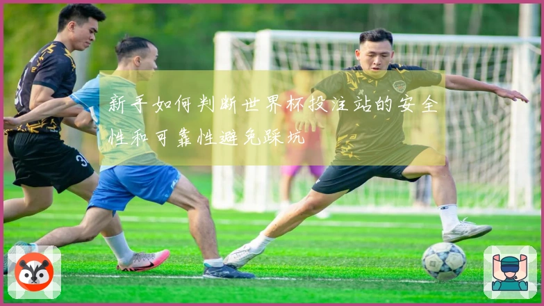 新手如何判断世界杯投注站的安全性和可靠性避免踩坑