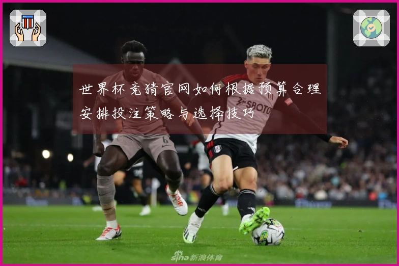 世界杯竞猜官网如何根据预算合理安排投注策略与选择技巧