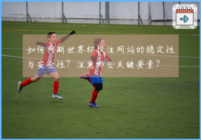 如何判断世界杯投注网站的稳定性与安全性？注意哪些关键要素？
