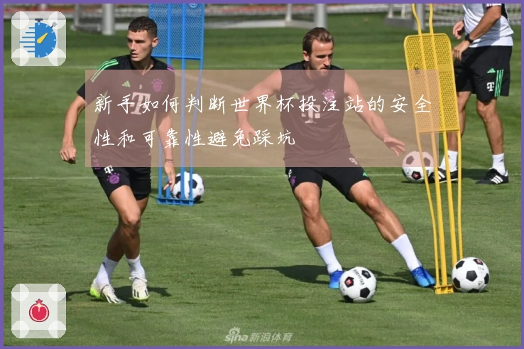 新手如何判断世界杯投注站的安全性和可靠性避免踩坑