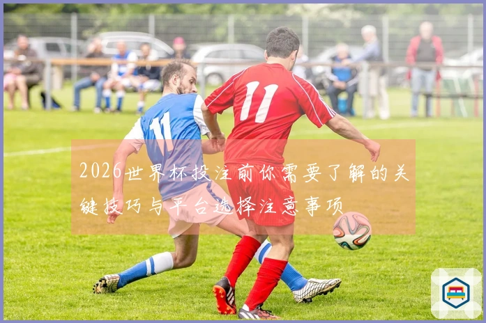 2026世界杯投注前你需要了解的关键技巧与平台选择注意事项