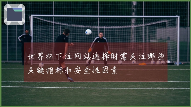 世界杯下注网站选择时需关注哪些关键指标和安全性因素