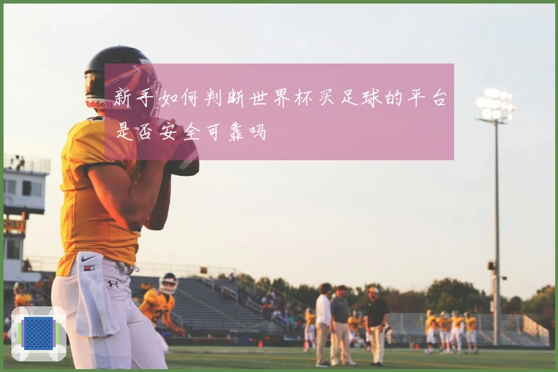新手如何判断世界杯买足球的平台是否安全可靠吗