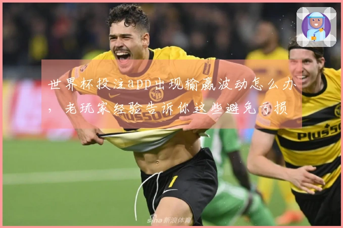 世界杯投注app出现输赢波动怎么办，老玩家经验告诉你这些避免亏损技巧