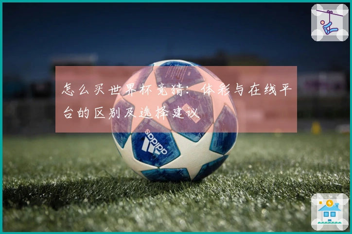 怎么买世界杯竞猜：体彩与在线平台的区别及选择建议
