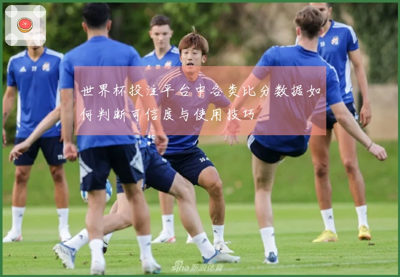 世界杯投注平台中各类比分数据如何判断可信度与使用技巧