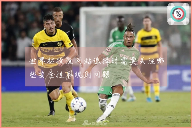 世界杯投注网站选择时需要关注哪些安全性和规则问题
