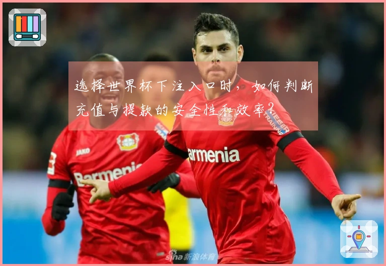 选择世界杯下注入口时，如何判断充值与提款的安全性和效率？
