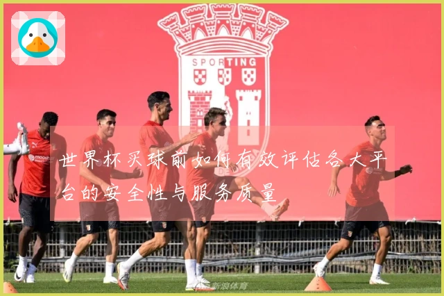 世界杯买球前如何有效评估各大平台的安全性与服务质量