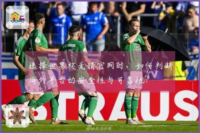 选择世界杯竞猜官网时，如何判断海外平台的安全性与可靠性？