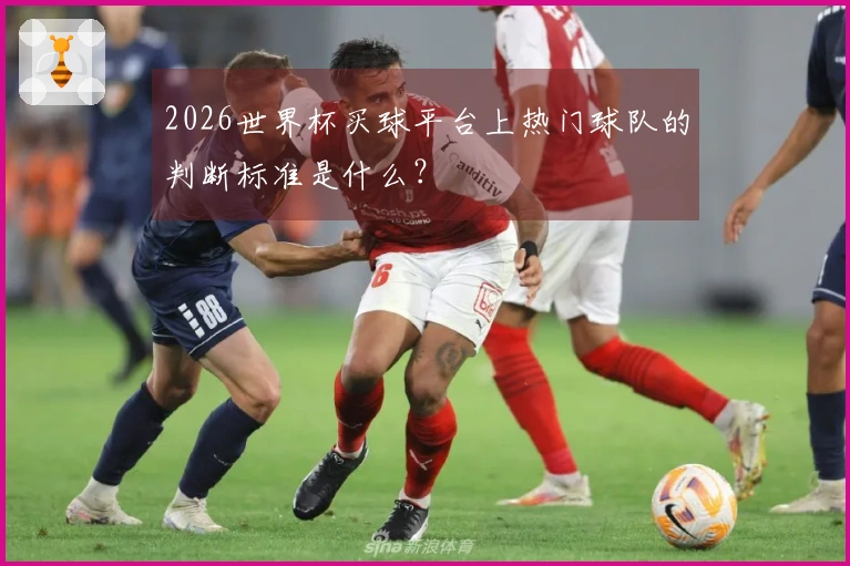 2026世界杯买球平台上热门球队的判断标准是什么？