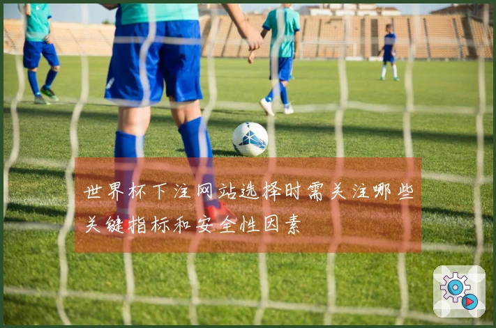 世界杯下注网站选择时需关注哪些关键指标和安全性因素