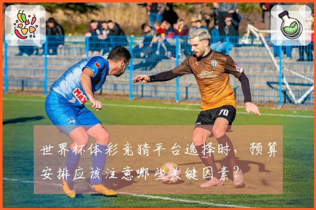 世界杯体彩竞猜平台选择时，预算安排应该注意哪些关键因素？