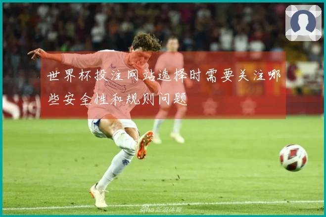世界杯投注网站选择时需要关注哪些安全性和规则问题