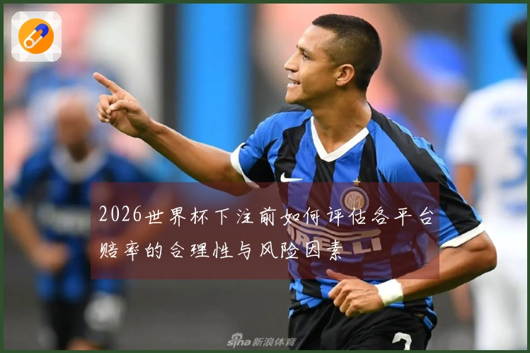 2026世界杯下注前如何评估各平台赔率的合理性与风险因素