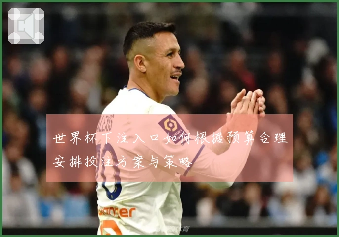 世界杯下注入口如何根据预算合理安排投注方案与策略