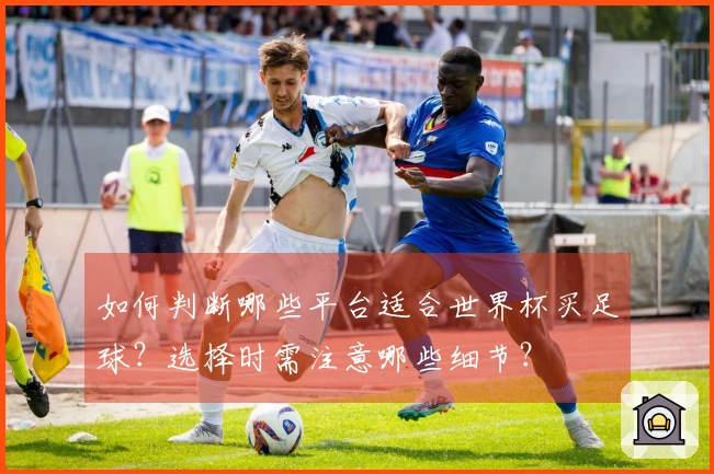 如何判断哪些平台适合世界杯买足球？选择时需注意哪些细节？
