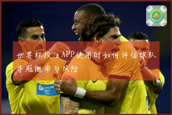 世界杯投注APP使用时如何评估球队夺冠概率与风险