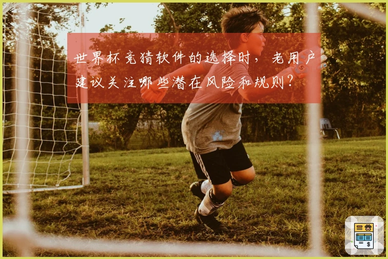世界杯竞猜软件的选择时，老用户建议关注哪些潜在风险和规则？
