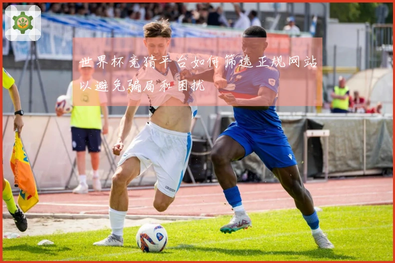 世界杯竞猜平台如何筛选正规网站以避免骗局和困扰