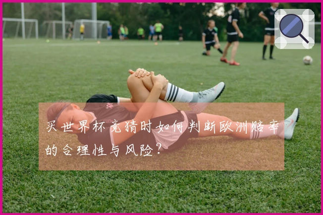 买世界杯竞猜时如何判断欧洲赔率的合理性与风险？