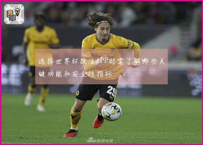 选择世界杯投注APP时需了解哪些关键功能和安全性指标