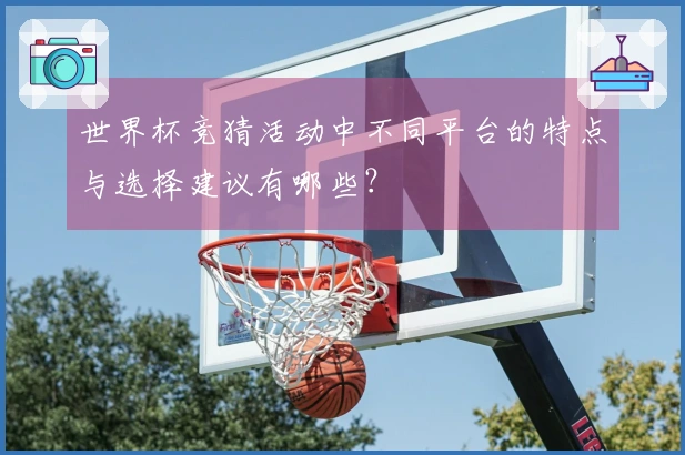 世界杯竞猜活动中不同平台的特点与选择建议有哪些？
