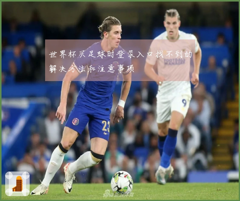 世界杯买足球时登录入口找不到的解决方法和注意事项