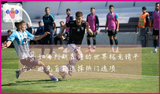 新手如何判断靠谱的世界杯竞猜平台，避免盲目选择热门选项