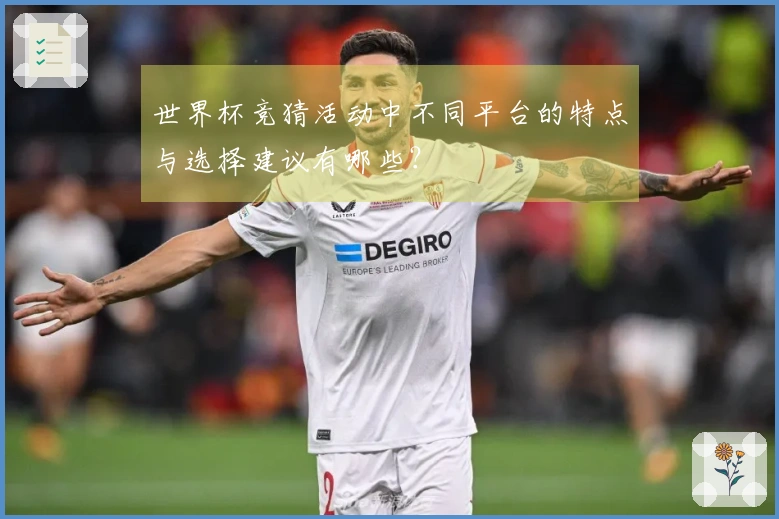 世界杯竞猜活动中不同平台的特点与选择建议有哪些？