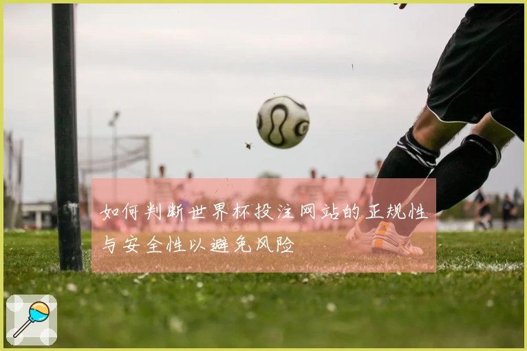 如何判断世界杯投注网站的正规性与安全性以避免风险