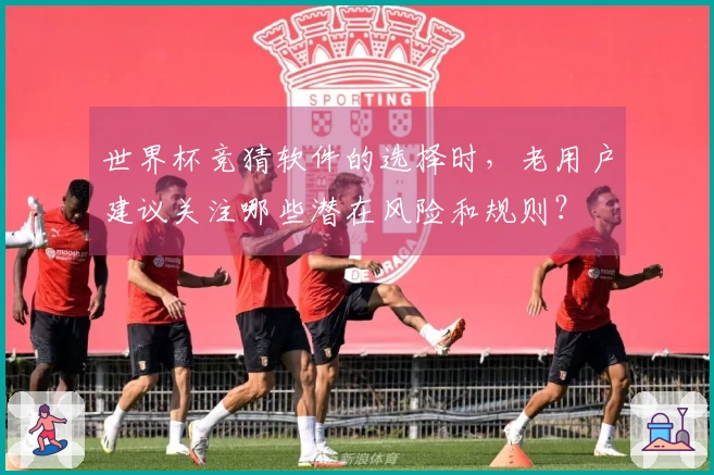 世界杯竞猜软件的选择时，老用户建议关注哪些潜在风险和规则？
