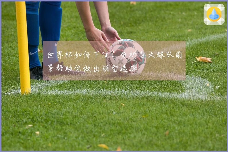 世界杯如何下注？分析各大球队前景帮助你做出明智选择