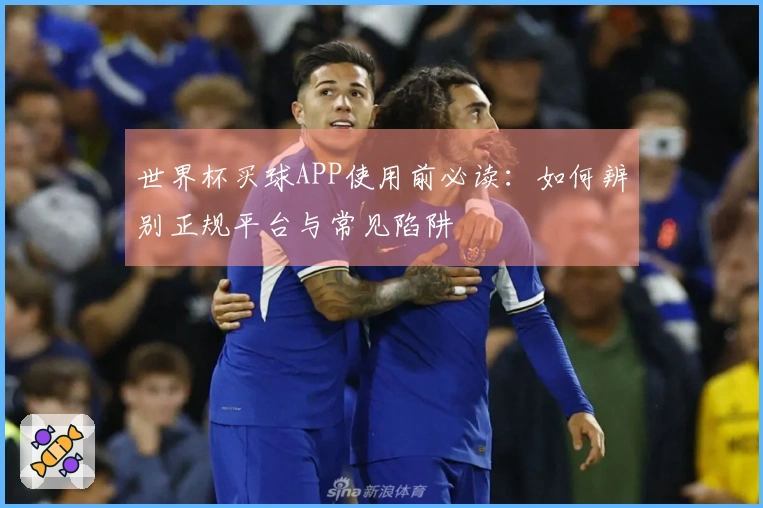 世界杯买球APP使用前必读：如何辨别正规平台与常见陷阱