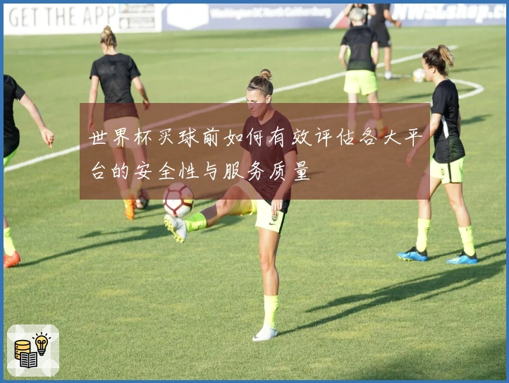世界杯买球前如何有效评估各大平台的安全性与服务质量